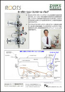 Z&N Carbonation control valve