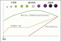 Tips for BFD 第21回