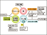 Tips for BFD 第28回