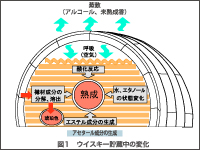 Tips for BFD 第29回