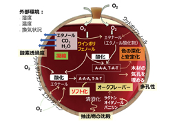 Tips for BFD 第64回