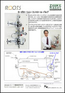 Zahm & Nagel　カーボネーションコントロールバルブ